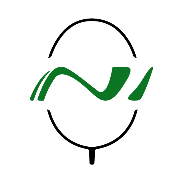 N1 Badminton