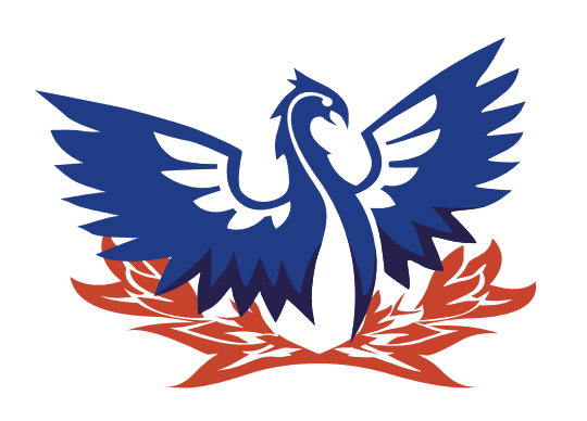 Phoenix Engineering Services